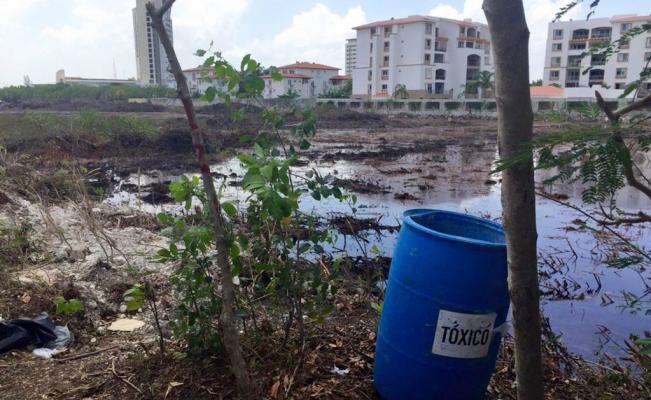 manglar_cancun